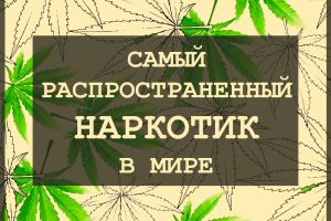 Марихуана – самый распространенный наркотик в мире