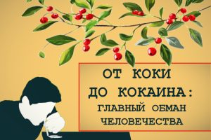 история от коки до кокаина