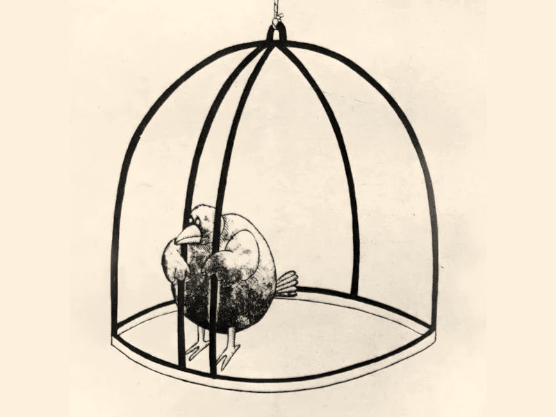 Добровольная клетка